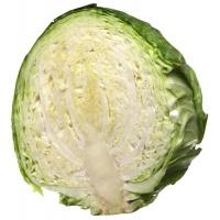 cabbage_half