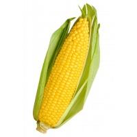 corn_sweet