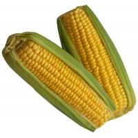 corn_sweet_twin_pack