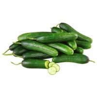 cucumber_lebanese