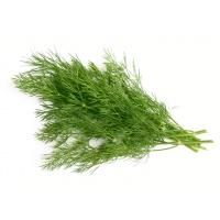 dill