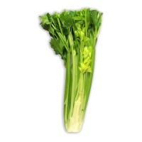 halfcelery