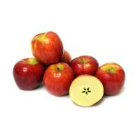 jazzapples