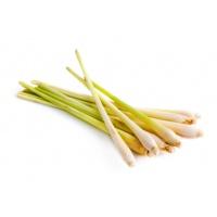 lemongrass_bunch