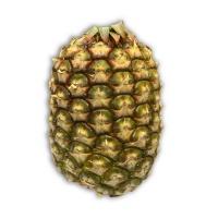 pineapple_800293211