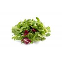 salad_mix_metro