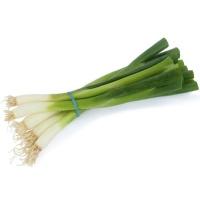 spring_onion_bunch