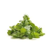 watercress