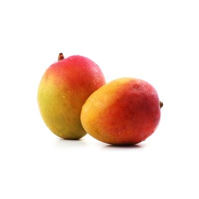 r2e2_mangoes