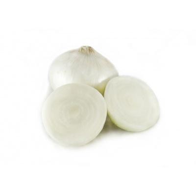 white_onion